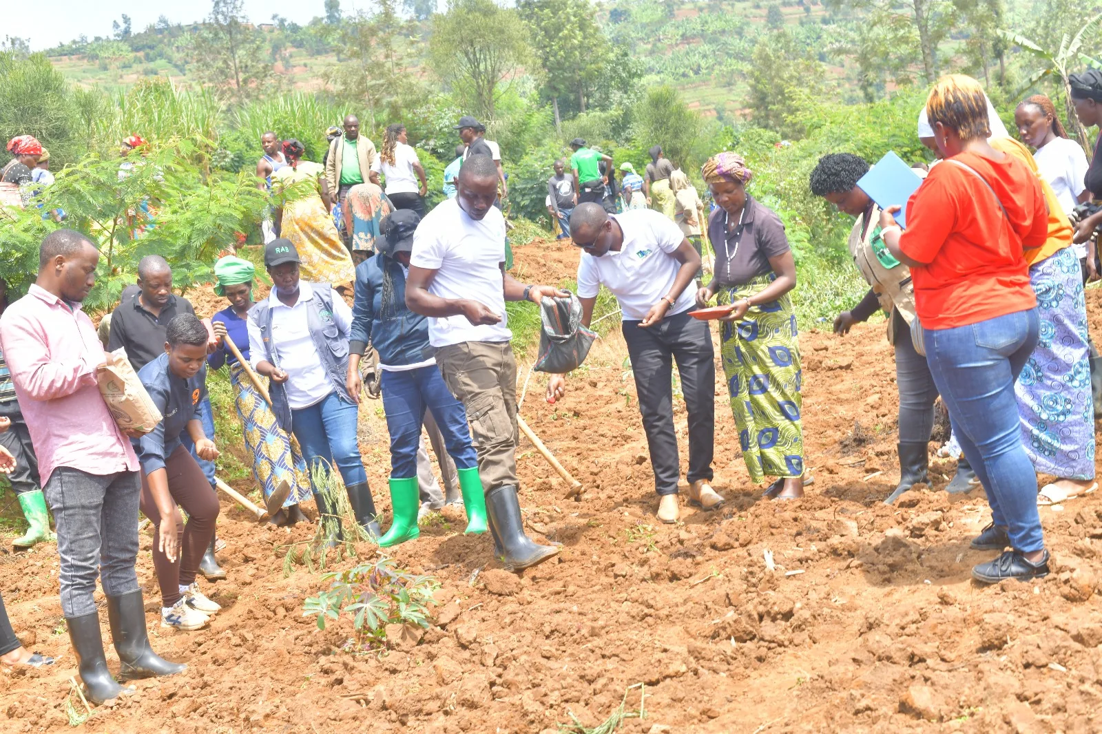 Community participation in the field