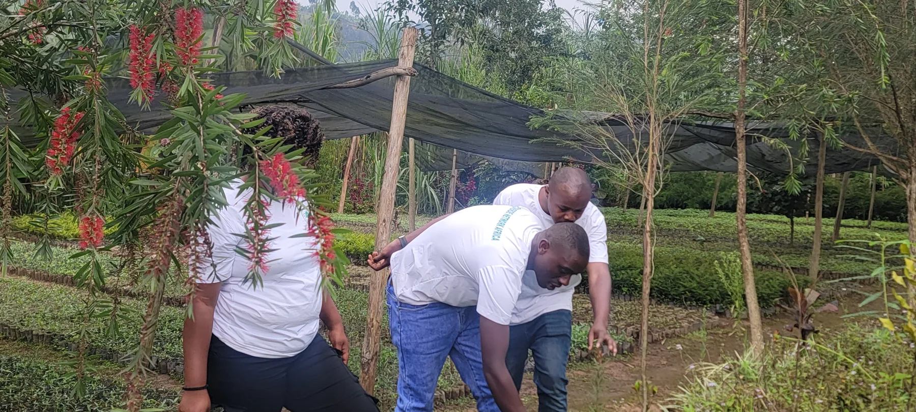 Connecting with local environments