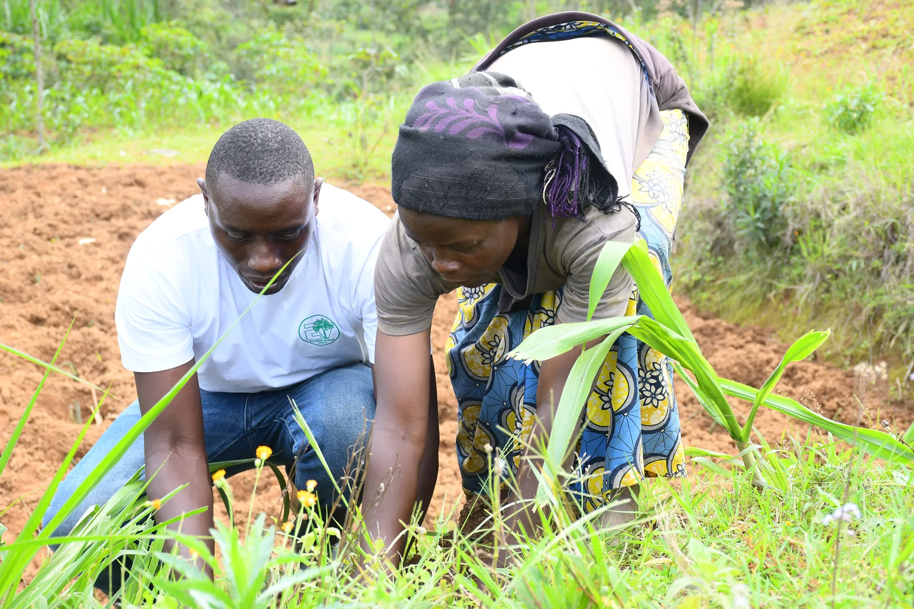 Volunteers restoring land together across Rwanda
